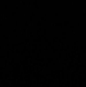 Meet your Posher, Val